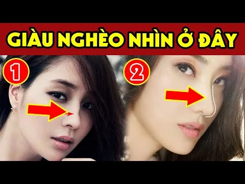 [Lăng Mộ đá] Muốn Biết VẬN MỆNH SƯỚNG KHỔ, Giàu Nghèo Chỉ Cần NHÌN TƯỚNG MŨI 3 Giây, Không Cần Đi Xem Bói - Đá Mỹ Nghệ Quang Trung Ninh Bình