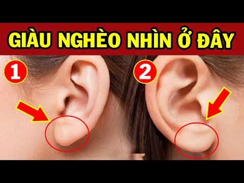 [Lăng Mộ đá] Muốn Biết VẬN MỆNH SƯỚNG KHỔ, Giàu Nghèo Chỉ Cần NHÌN TƯỚNG TAI 3 Giây, Không Cần Đi Xem Bói - Đá Mỹ Nghệ Quang Trung Ninh Bình