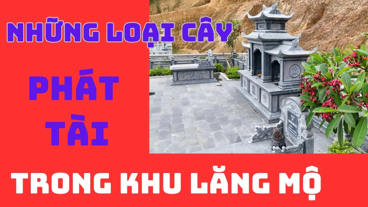 Lựa chọn Cây trồng chuẩn phong thủy tại Lăng Mộ đá Gia đình, Dòng họ - Đá Mỹ Nghệ Quang Trung Ninh Bình